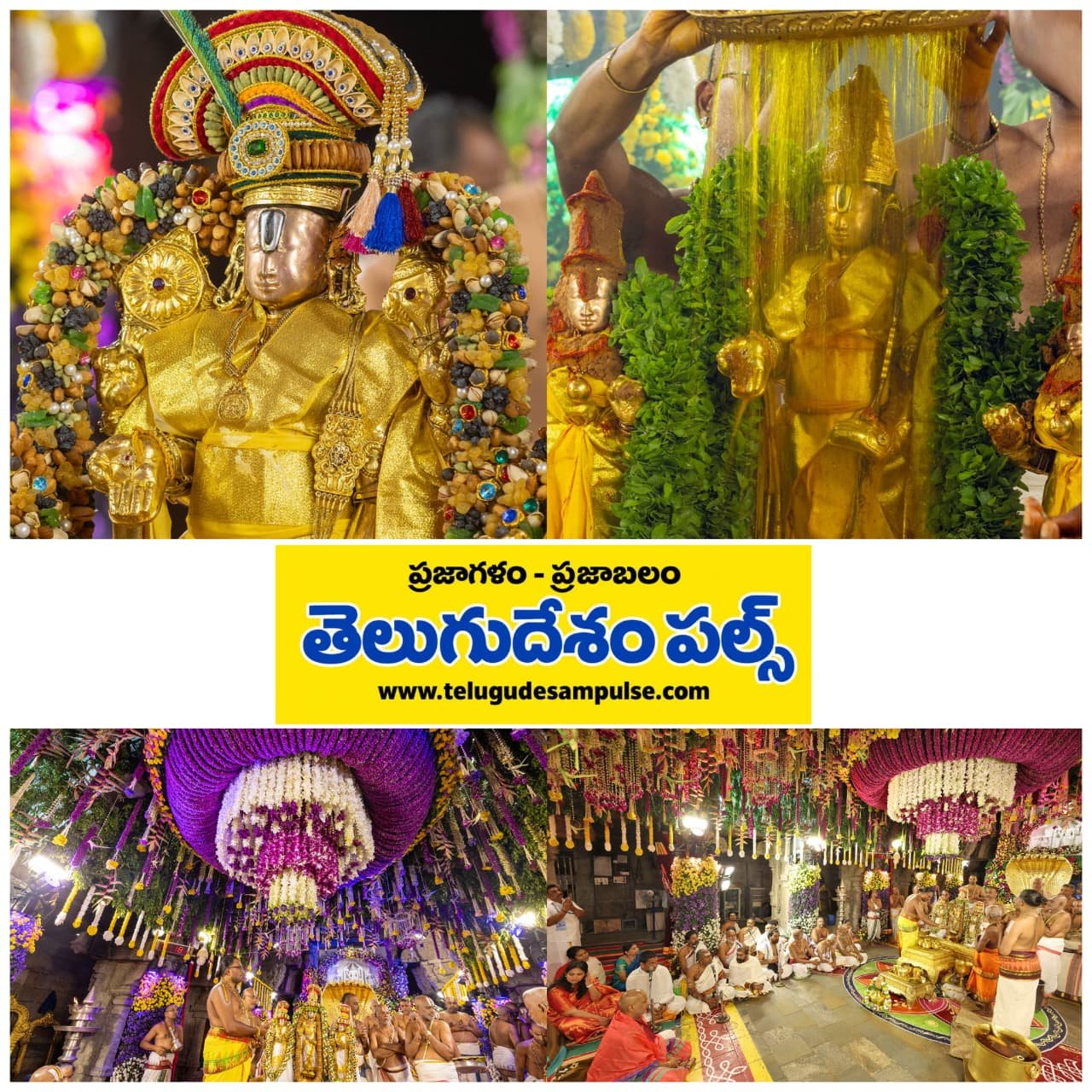 తిరుమలలో వైభవంగా స్నపన తిరుమంజనం